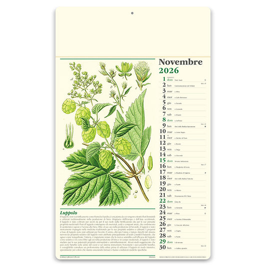 ERBORISTERIA