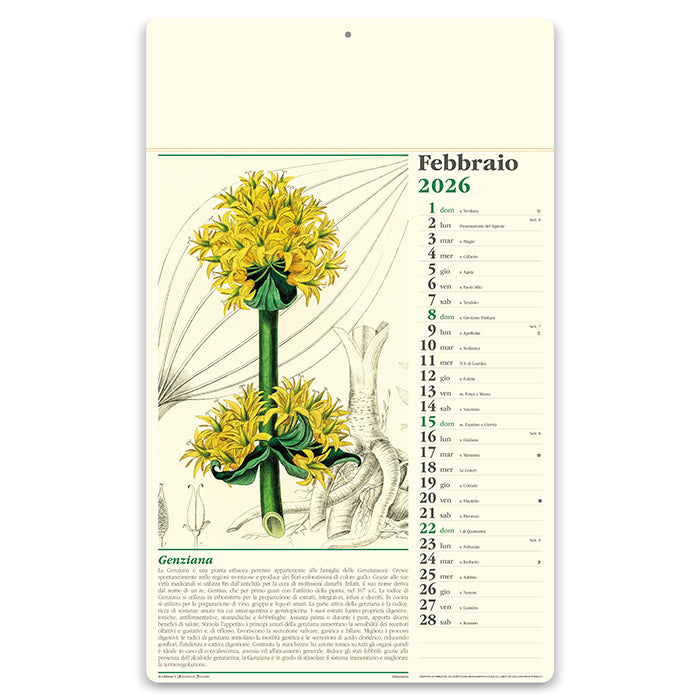ERBORISTERIA