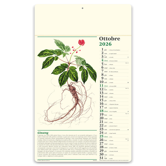 ERBORISTERIA
