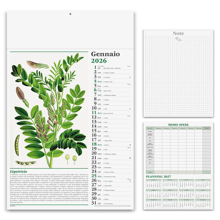 ERBORISTERIA