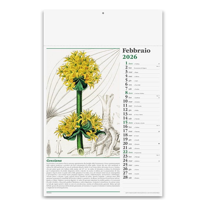 ERBORISTERIA