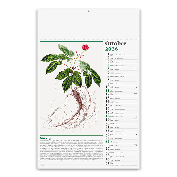 ERBORISTERIA