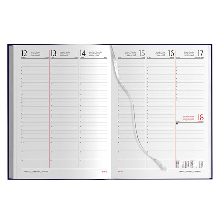 AGENDA SETTIMANALE MAXI