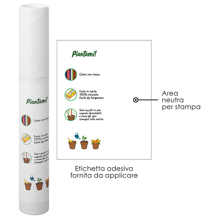 SET PIANTAMI